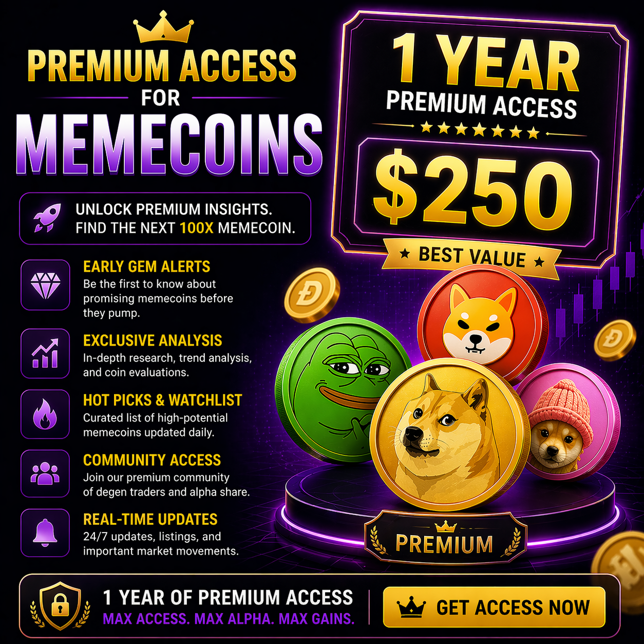 Vip Access For 1 Year!